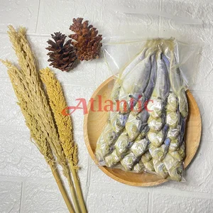 Ikan Asin Selar 500 Gram