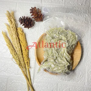 Ikan Asin Teri Medan 500 Gram