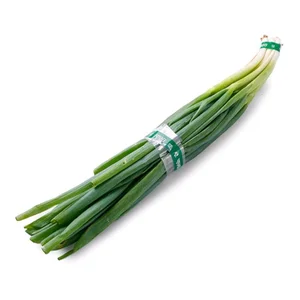 Bawang Daun Fresh (Sayuran Segar)
