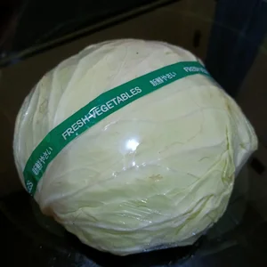 Kol Putih (Sayuran Segar Satuan Kg)