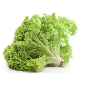 Curly Lettuce (Unit 100 gr)