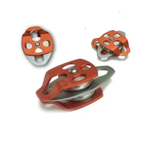  Adela Pulley AG13