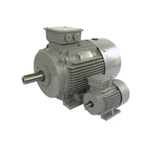 FOOT MOUNTED 3 PHASE SQUIRREL CAGE INDUCTION MOTORS