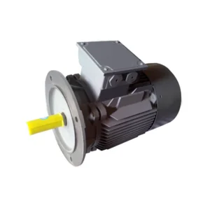 FLANGE MOUNTED 3 PHASE SQUIRREL CAGE INDUCTION MOTORS