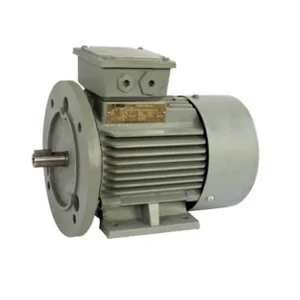  FOOT AND FLANGE MOUNTED 3 PHASE SQUIRREL CAGE INDUCTION MOTORS