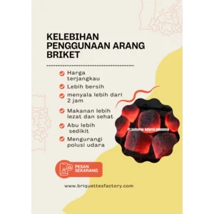 ARANG BRIKET BATOK KELAPA UNTUK BERBEQUE DAN SHISA