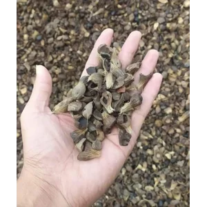 Cangkang Kelapa Sawit/Arang Batok Kelapa