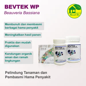 Insektisida Organik Bevtek Beauveria Bassiana Pelindung Tanaman