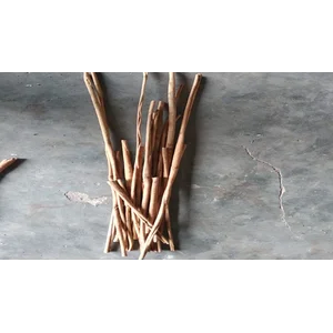 Kayu Manis Grade A A A
