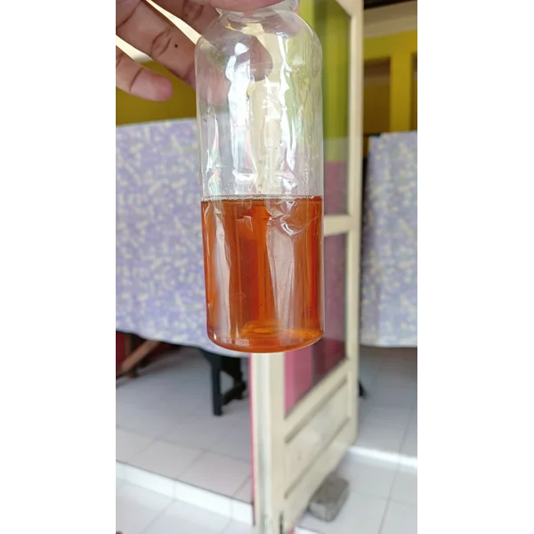 Minyak jelantah untuk biodiesel - JELANTAH