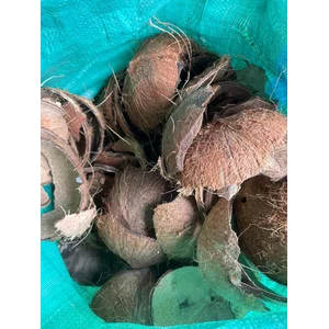 Batok Tempurung Kelapa coconut shell