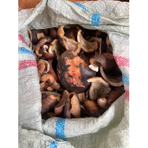 Kelapa Kopra, kopra edible asalan