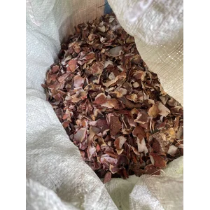 Kulit Ari dari Daging kelapa