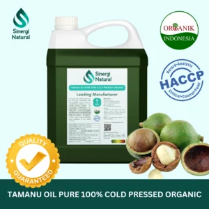 5 kg Produksi Skala Besar Organic Tamanu Oil Pure 100% Cold Pressd