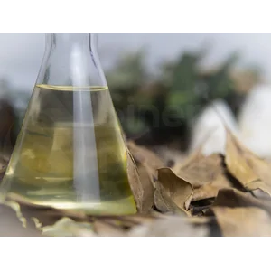Minyak Cengkeh Sinergi Natural 100% Murni