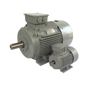 FOOT MOUNTED 3 PHASE SQUIRREL CAGE INDUCTION MOTORS