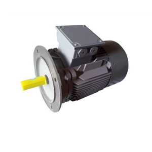 FLANGE MOUNTED 3 PHASE SQUIRREL CAGE INDUCTION MOTORS