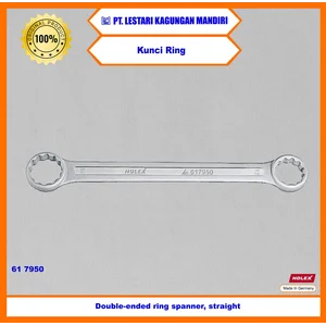 HOLEX Kunci Ring / Double-ended ring spanners straight