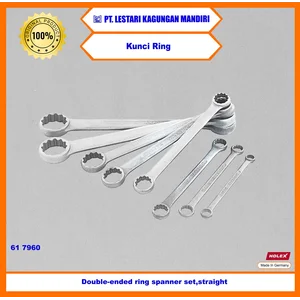 HOLEX Kunci Ring / Double-ended ring spanner set straight