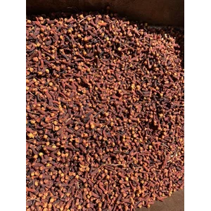 Cengkeh / cengkeh Zanzibar / cengkeh grade AB 6