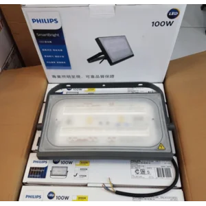 Lampu Jalan Philips BVP174 LED112/CW 100W WB GREY CE