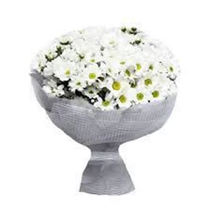 Hand Bouquet Bunga Aster Putih