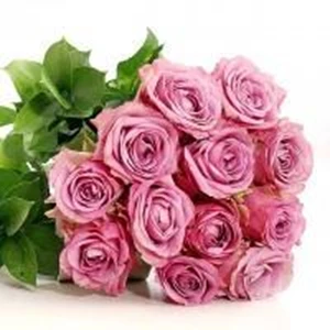 Hand Bouquet Purple Roses
