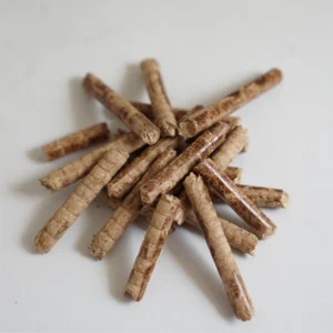 Wood Pellet Biomass Energy Alternatif Bahan Bakar Terbarukan