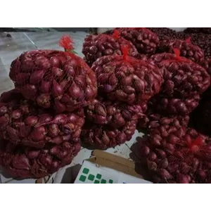 Bawang Merah - Bawang Merah Jawa