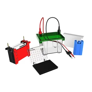BIOBASE Western Blot Electrophoresis Tank BK-TET01