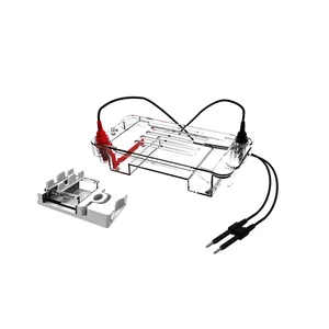 BIOBASE Horizonal Electrophoresis Tank BK-HETO2