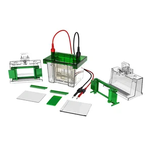 BIOOBASE Vertical Electrophoresis Tank BK-VET01