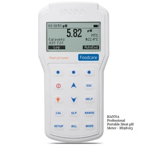 Hanna Professional Portable Meat pH Meter - HI98163