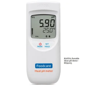 Hanna Portable Meat pH Meter - HI99163