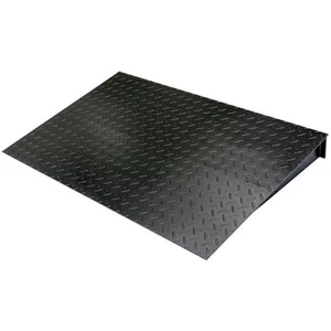 OHAUS 30572945 Ramps Ramp DF-Q1 CS 1.25 x 0.75m