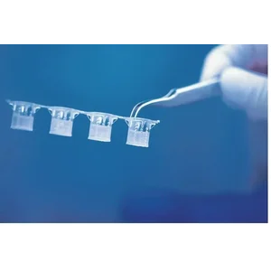 BRAND 782800 Insert strips smooth-wall PC-Membrane strips of 4 for 24/6-well BRANDplates® BIO-CERT® CELL CULTURE QUALITY sterile