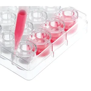 BRAND 782811 Insert strips with inlet channels (Inlet Opening System) PET-Membrane strips of 4 for 24/6-well BRANDplates® BIO-CERT® CELL CULTURE QUALITY sterile