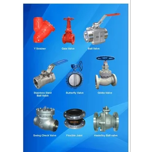 Industrial Valve Ball Check Gate 