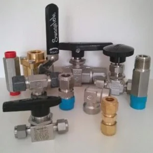 Industrial Valve Ball Check Gate 
