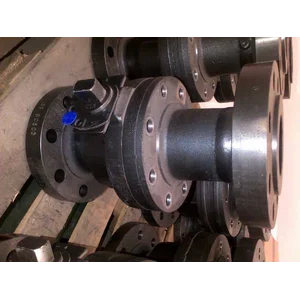 Industrial Valve Ball Check Gate 