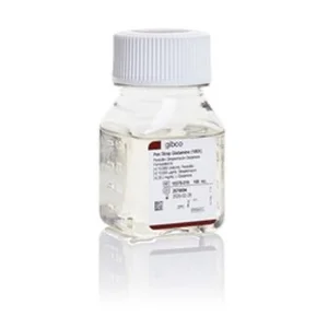 PEN STREP GLUTAMINE 100X  100ML