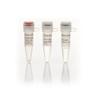 Thermo Scientific T4 DNA Ligase (5 U/µL)