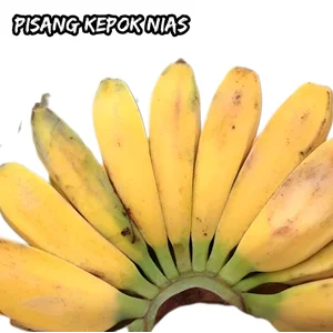 Pisang Kepok Nias + Pisang Kepok + Bananas Nias + Buah Organik + Segar + Dagingnya Manis dan Lezat 