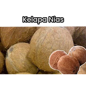 Kelapa + Kelapa Nias + Organic Fruit + Sedang/Besar + Kelapa Bulat + Kelapa Butir