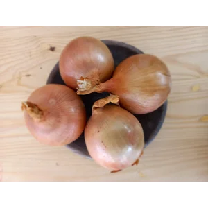 Bawang Bombai 50/60 ( Kecil ) 