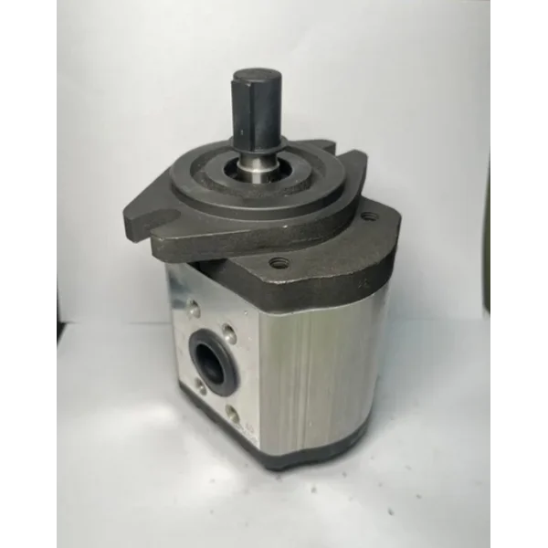 Hydraulic Gear Pump WinMost EG-PBD-22-20