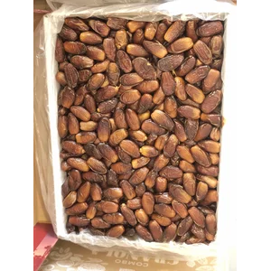 Kurma tunisia madu box 5 kg saphire