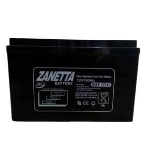 Baterai Solar Panel VRLA Gel 12v 100ah Zanetta 
