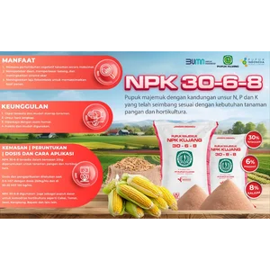 PUPUK NPK 30-6-8 KEMASAN 50Kg