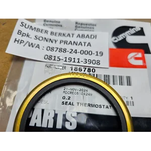CUMMINS 186780 THERMOSTAT SEAL 135600 - N14 NT855 KTA19